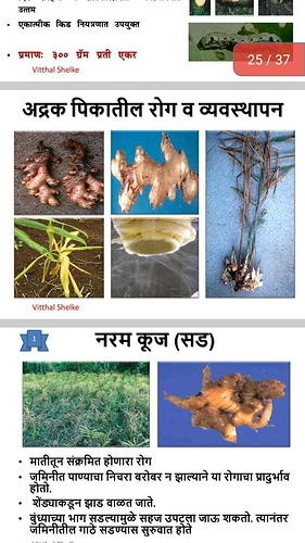 WOTR_1595563911138|281X500