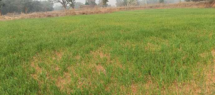 WOTR_1769327359975|690X307