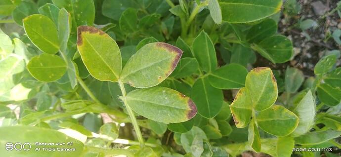 WOTR_1770788599999|690X318