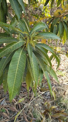 WOTR_1772513228781|281X500