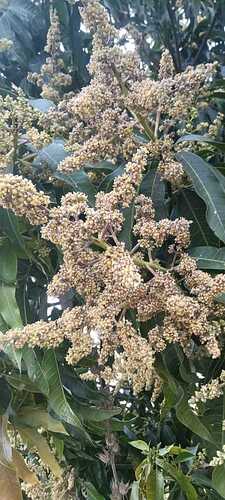 WOTR_1768395626991|225X500