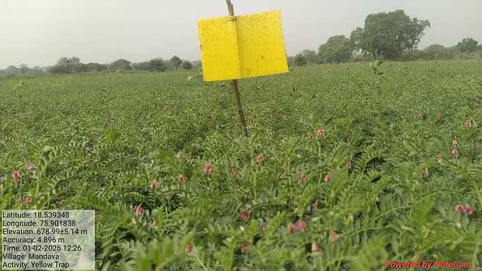 WOTR_1767519017899|690X388