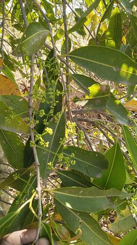 WOTR_1772513228781|281X500