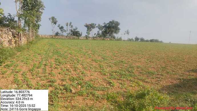 WOTR_1761288994917|690X388