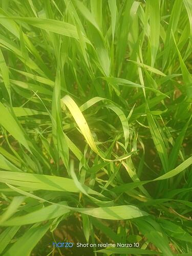 WOTR_1770021366057|375X500