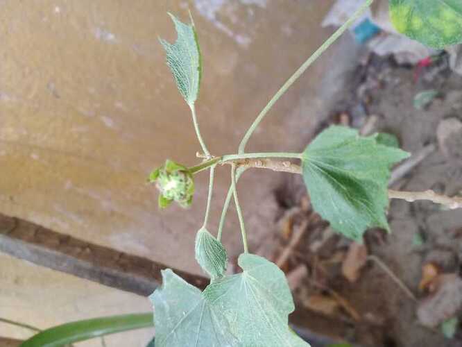 WOTR_1764905438256|666X500