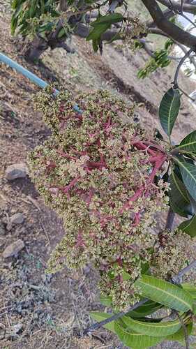 WOTR_1769251279170|281X500