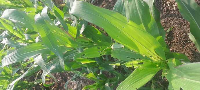 WOTR_1771679644839|690X310