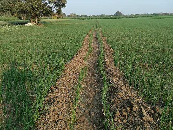 WOTR_1770696096538|666X500