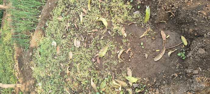 WOTR_1769139872932|690X310