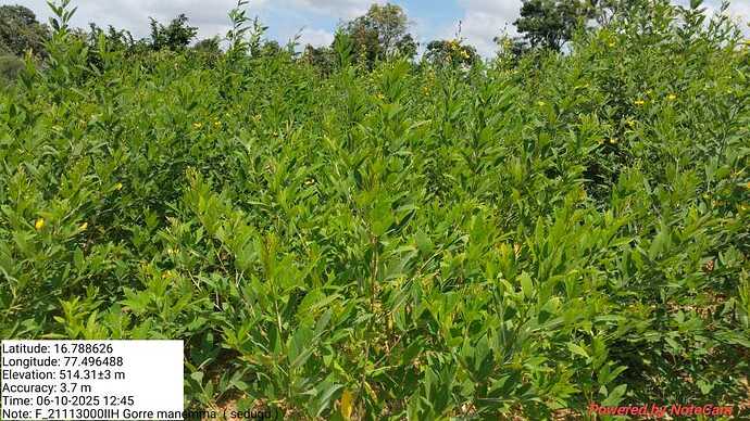 WOTR_1761289107352|690X388