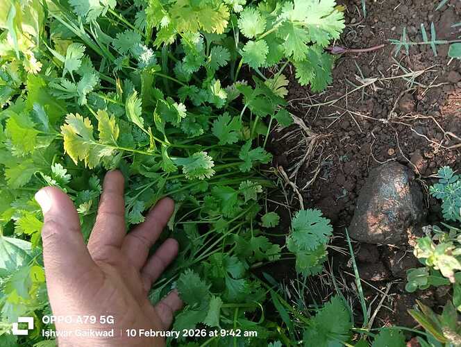 WOTR_1770869340466|664X500