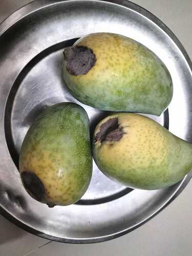 WOTR_1777384499927|375X500