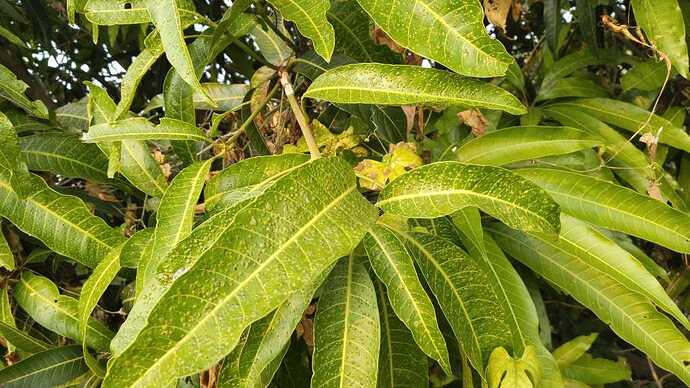 WOTR_1764944830048|690X388