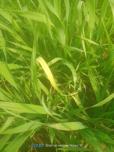 WOTR_1770021366057|375X500