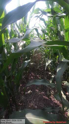 WOTR_1769008482623|281X500