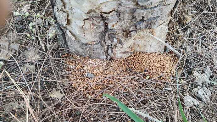 WOTR_1770561025917|690X388