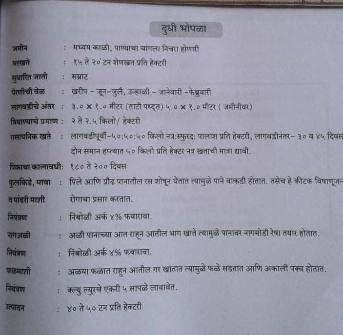 Dudhi Bhopla Info